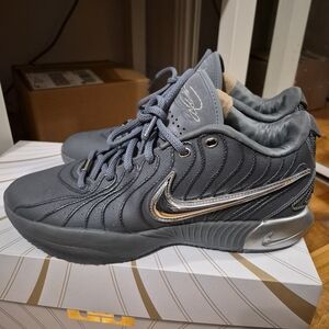 NIKE LEBRON XXI 21 Resilience SHOES Size 10 1/2